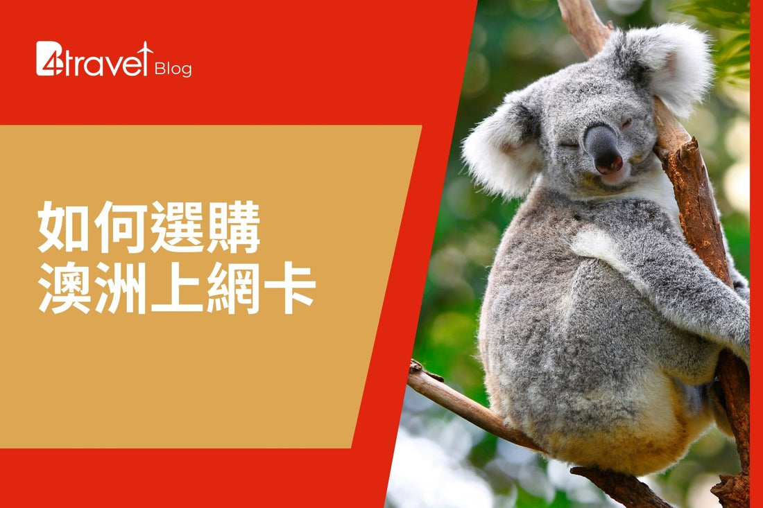 2026 澳洲 SIM 卡推薦｜香港買 Telstra 上網卡免設定、支援無限數據、適合留學生與自由行旅客